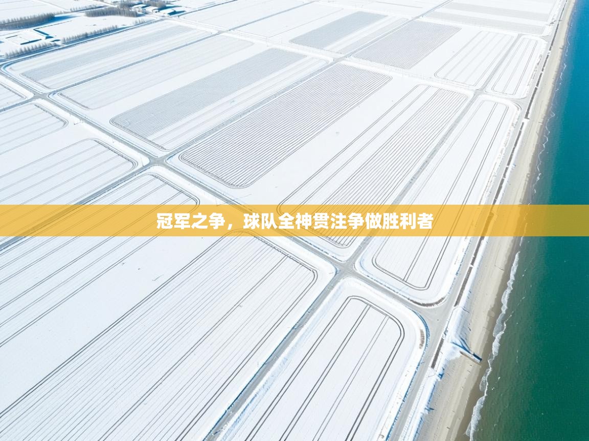 冠军之争，球队全神贯注争做胜利者  第1张