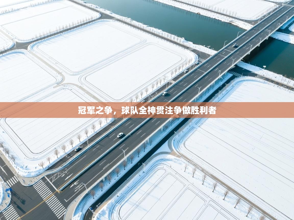 冠军之争，球队全神贯注争做胜利者  第2张