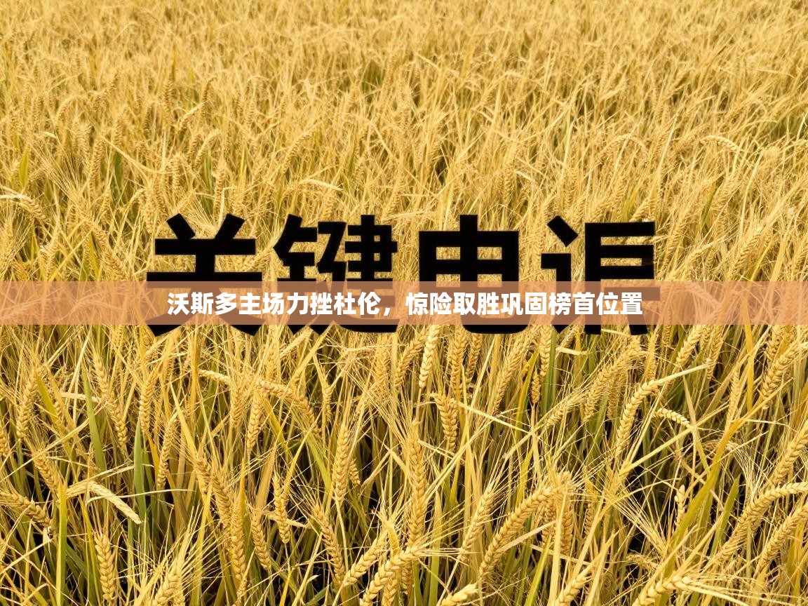 沃斯多主场力挫杜伦,惊险取胜巩固榜首位置 第1张