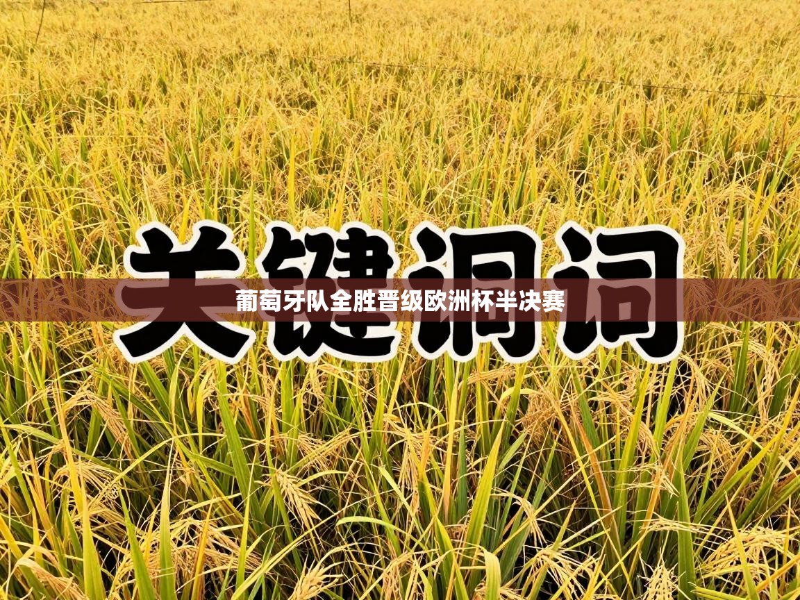 葡萄牙队全胜晋级欧洲杯半决赛 第1张