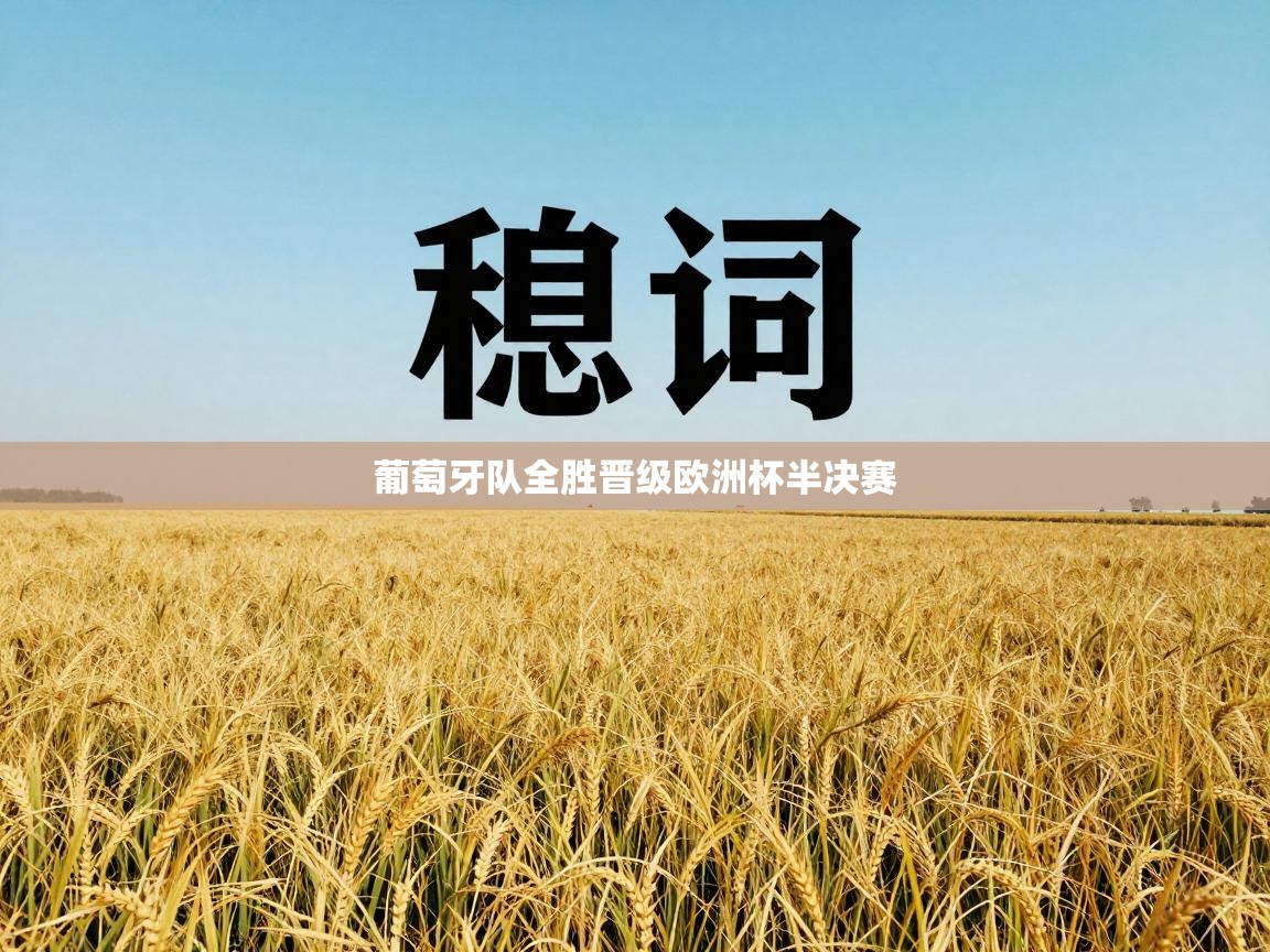 葡萄牙队全胜晋级欧洲杯半决赛 第2张